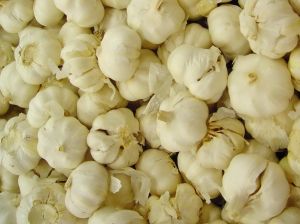 garlic-cloves